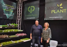 Frank van Klingeren and Rosita Hogeboom with YounPlants, a cooperation between Oriëntal Plant and Jato Plant, both suppliers of young plants but with a different geographical focus in terms of the customers they supply.